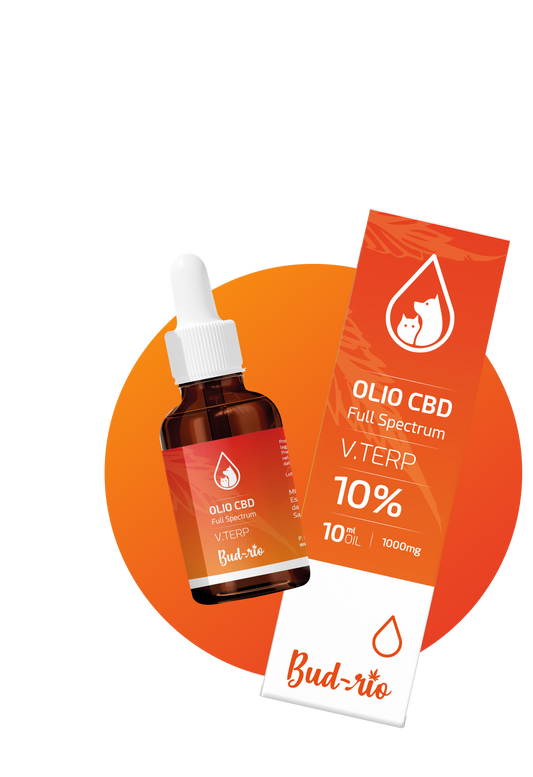 Olio CBD 10% PET V-TERP 10ml