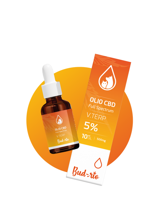 Olio CBD 5% PET V-TERP 10ml